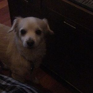 Meet your Posher, Tony